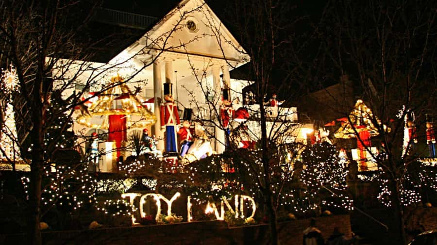 NYC: Christmas Lights Tour and Dyker Heights - The Best Use of This Tour: Who It Fits