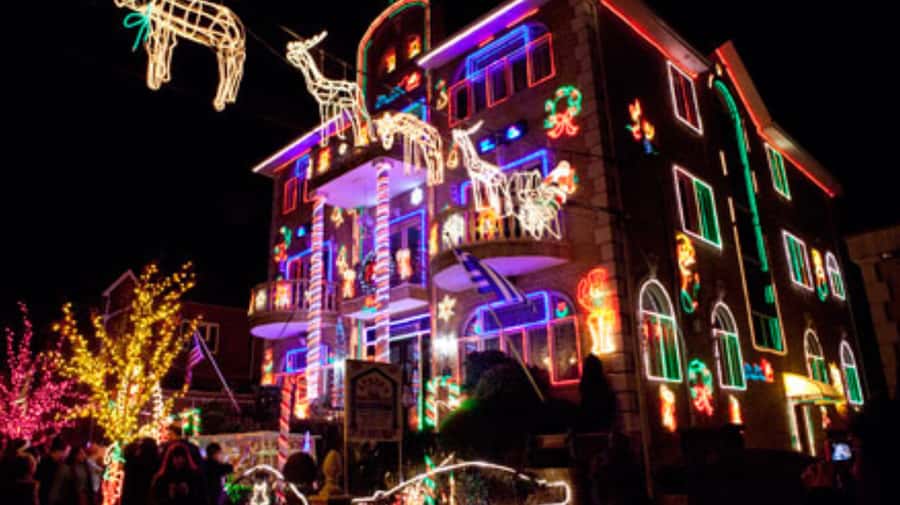 NYC: Christmas Lights Tour and Dyker Heights - Price and Value for a 4-Hour Christmas Lights Ride