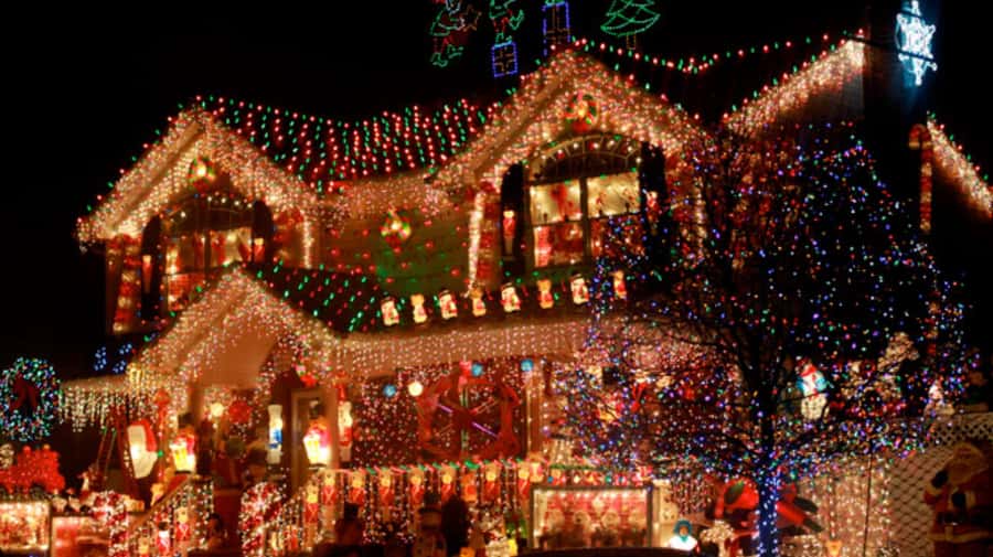 NYC: Christmas Lights Tour and Dyker Heights - DUMBO: Cobblestones, Holiday Vibes, and Skyline Views