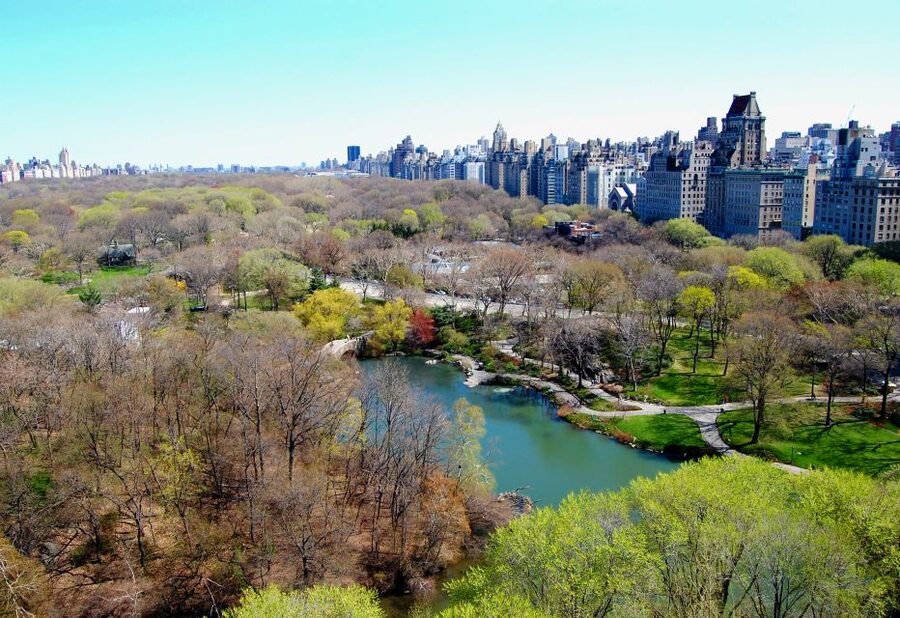 NYC: Custom Highlights & Hidden Gems Tour with a Local - Shopping street stops and celebrity-level style, without the tourist overload