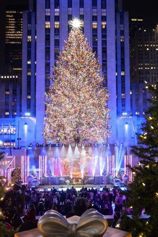 NYC: Dyker Heights and NYC Holiday Lights Luxury Bus Tour - Manhattan Bridge and the Pass-By Route Through Town