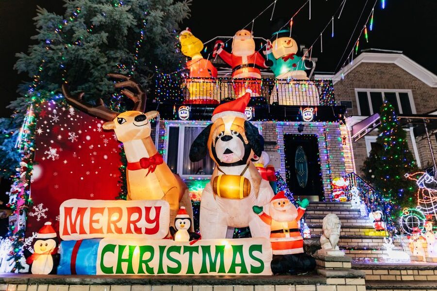 NYC: Dyker Heights Christmas Lights & Skyline View Bus Tour - Who should book this Dyker Heights lights and skyline bus tour