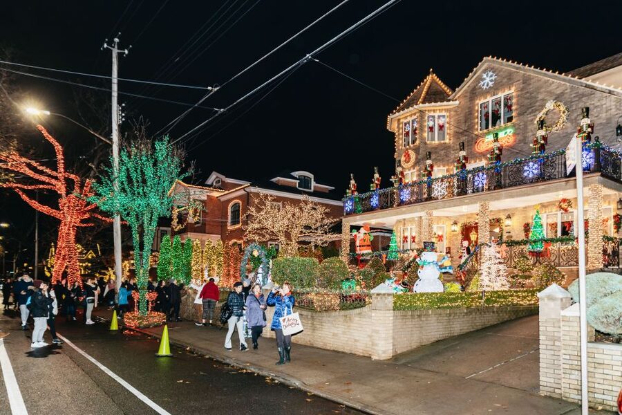 NYC: Dyker Heights Christmas Lights & Skyline View Bus Tour - Brooklyn Bridge Park: a quick skyline stop with real impact