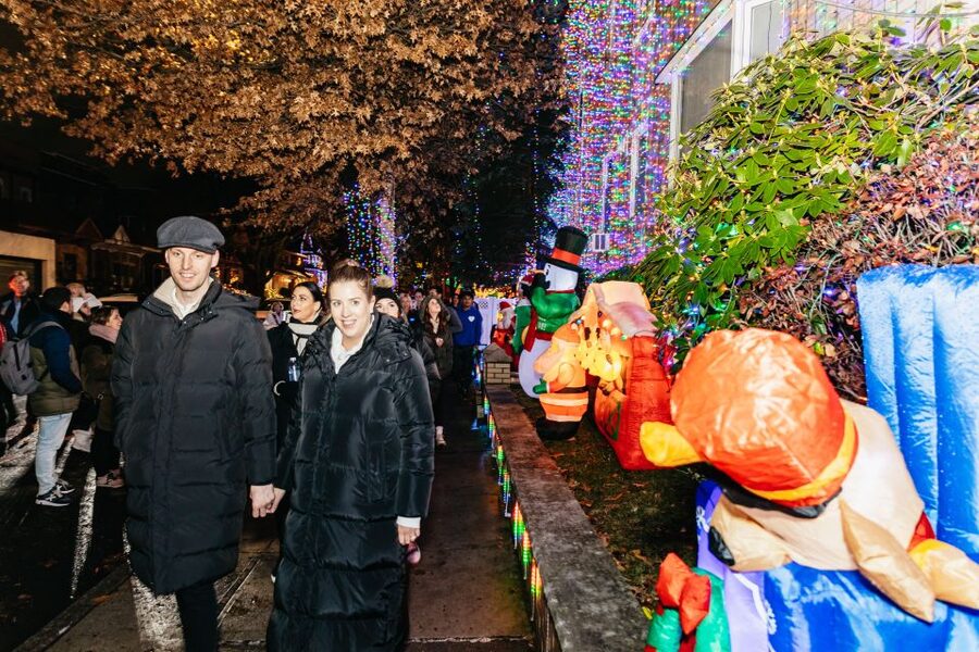 NYC: Dyker Heights Christmas Lights & Skyline View Bus Tour - Price and value at about $69 per person