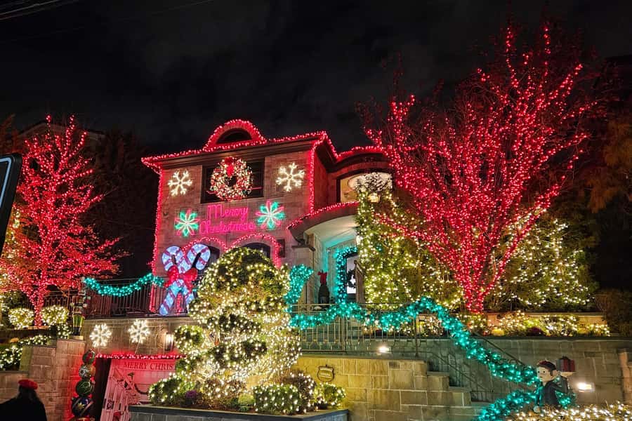 NYC: Dyker Heights Christmas Lights Tour with Hot Cocoa - Guides, pacing, and what to expect from the group dynamic