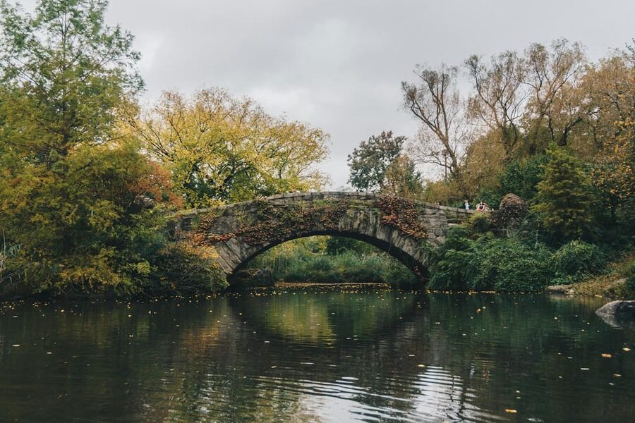 NYC: Elf & Home Alone 2 Locations Central Park Pedicab Tour - Key things to know before you climb in