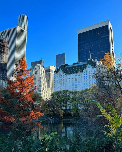 NYC: Elf & Home Alone 2 Locations Central Park Pedicab Tour - Wollman Rink pass-by: when winter makes the scenes make sense