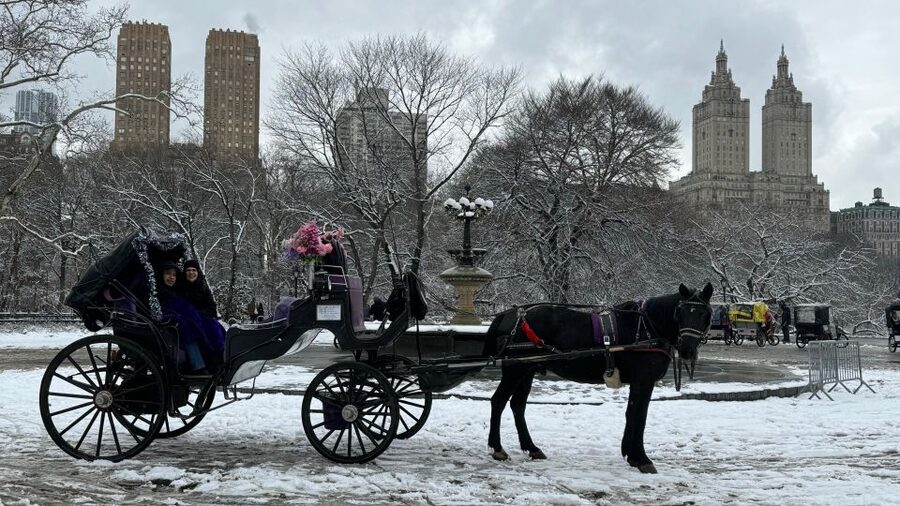 NYC Empire State Horse Carriage Ride in Central Park(45mins) - 45 Minutes, Private Group, and $140 Pricing: How This Ride Works