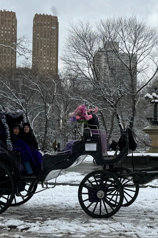 NYC Empire State Horse Carriage Ride in Central Park(45mins) - Drivers, Horses, and the Extra Touches That Make It Feel Personal