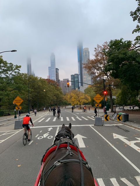 NYC Empire State Horse Carriage Ride in Central Park(45mins) - Accessibility and Private Ride Comfort: Who This Fits Best