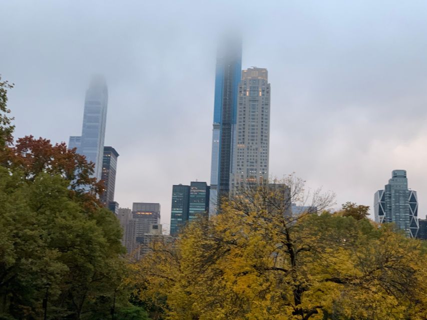 NYC Empire State Horse Carriage Ride in Central Park(45mins) - Meeting at 7th Avenue and 59th Street: Finding Your Carriage Fast