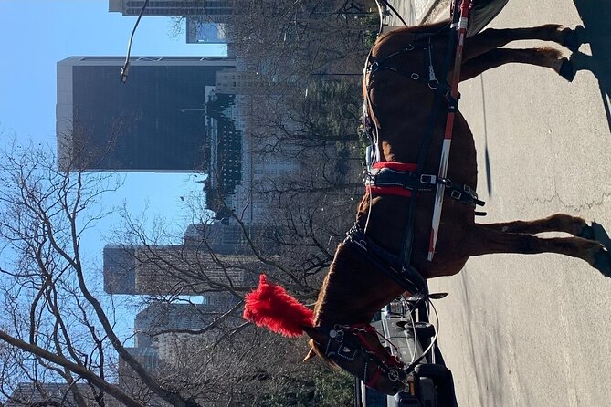 NYC Empire State Horses Carriage Ride in Central Park (45 Mins) - Why a private 45 minute Central Park carriage beats the big tour groups