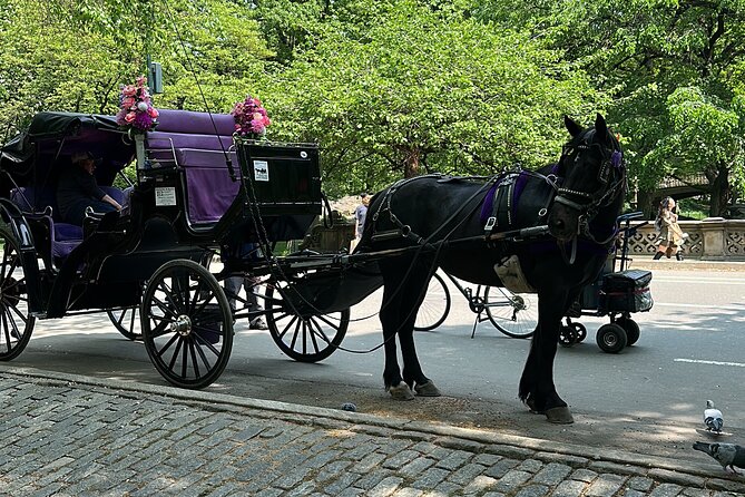 NYC Empire State Horses Carriage Ride in Central Park (45 Mins) - Meeting at the New York Athletic Club, and why that location helps