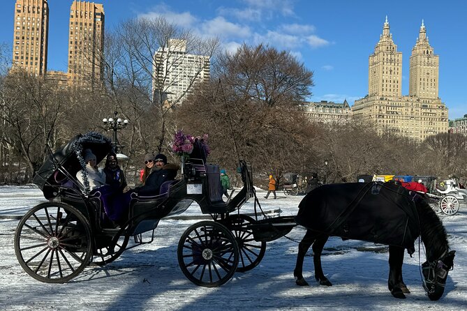 NYC Empire State Horses Carriage Ride in Central Park (45 Mins) - Strawberry Fields, Dakota Building, and the park’s most photographed corners