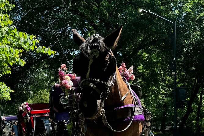 NYC Empire State Horses Carriage Ride in Central Park (45 Mins) - Blankets, timing, and how to dress for a cold or rainy Central Park