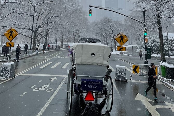 NYC Empire State Horses Carriage Ride in Central Park (45 Mins) - Price and value for a private group of up to four