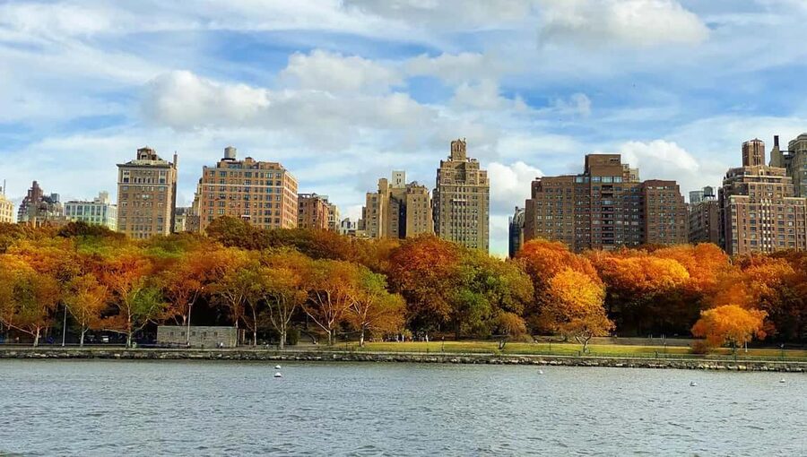 NYC: Fall Foliage Cruise with Live Guide - Drinks and the one snack bar reality