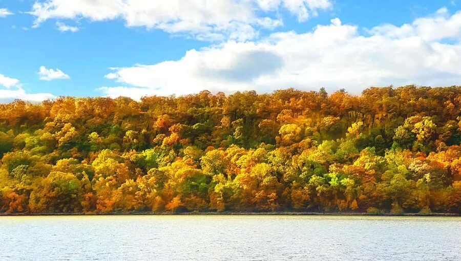 NYC: Fall Foliage Cruise with Live Guide - The live guide, audio comfort, and what to do if sound bugs you