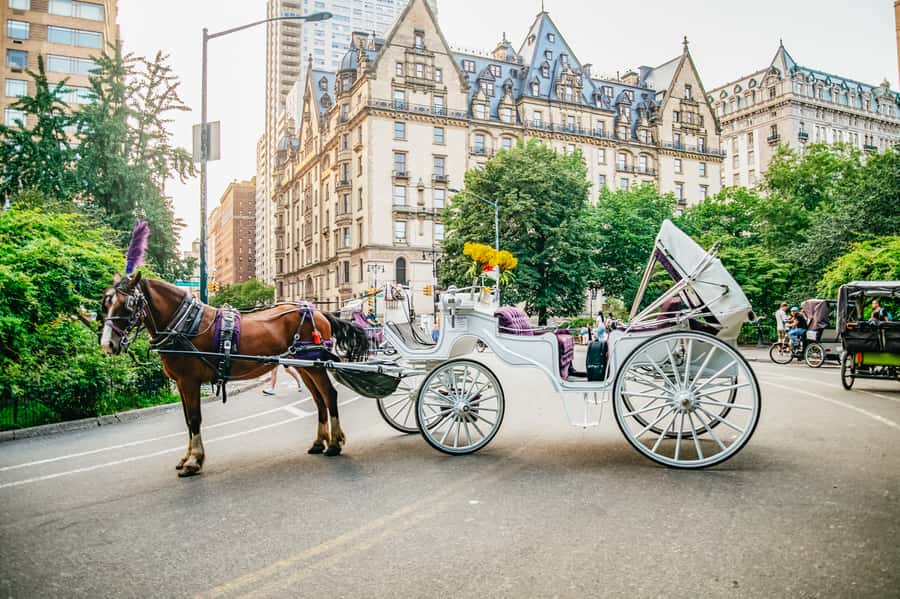 NYC: Guided Central Park Horse Carriage Ride - Should you book this Central Park horse carriage ride?