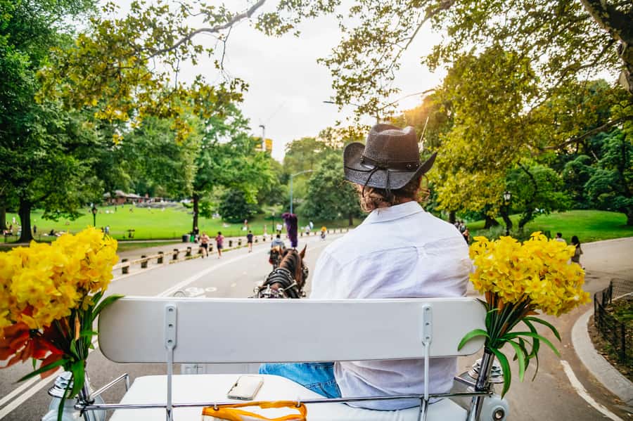 NYC: Guided Central Park Horse Carriage Ride - How the private Central Park carriage ride works in 40 to 55 minutes