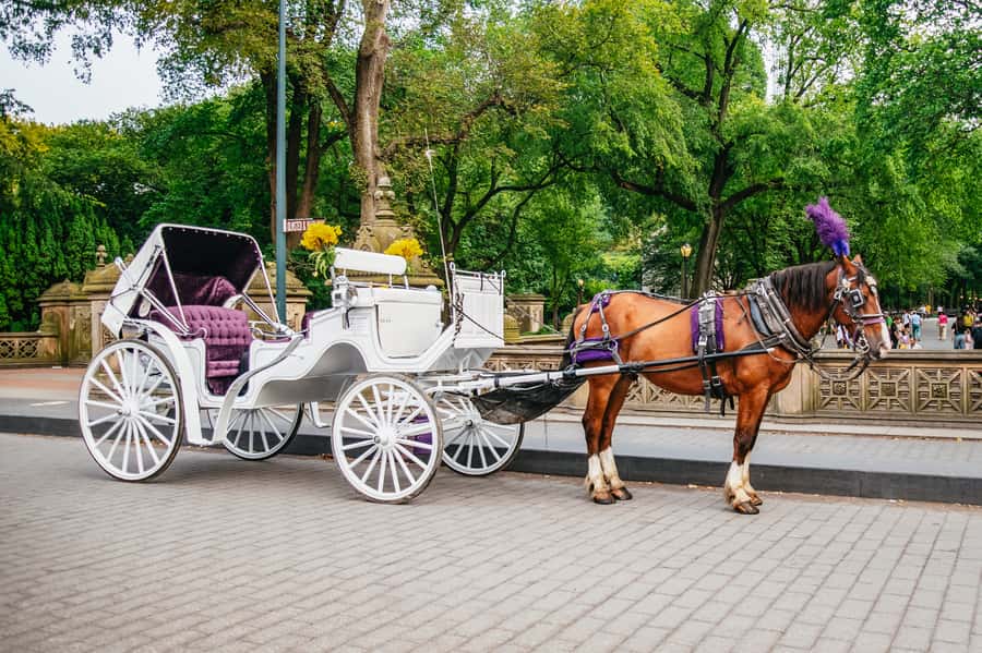 NYC: Guided Central Park Horse Carriage Ride - The park highlights you pass, from Wollman Rink to Sheep Meadow