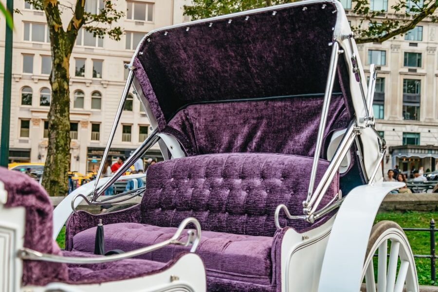 NYC: Guided Central Park Horse Carriage Ride - Horse treats, blankets in winter, and the comforts that change the ride