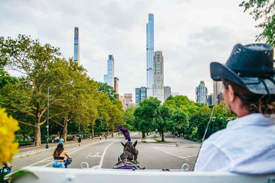 NYC: Guided Central Park Horse Carriage Ride - Best time to go: daytime sights vs Central Park at night