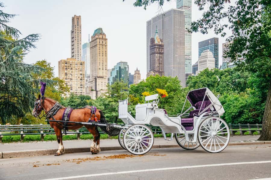 NYC: Guided Central Park Horse Carriage Ride - Bethesda Fountain photo stop, and why that moment is usually the star