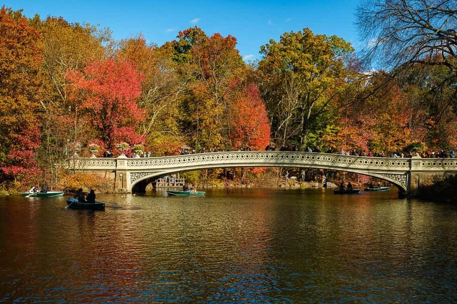 NYC: Guided Central Park Private Pedicab Tour - How the private pedicab tour runs (and what you should expect)
