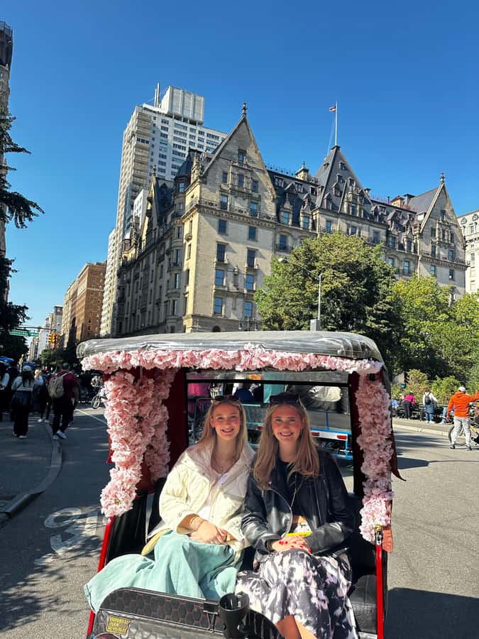 NYC: Guided Pedicab Tour of Central Park - Carousel moments and the Chess and Checkers House stop