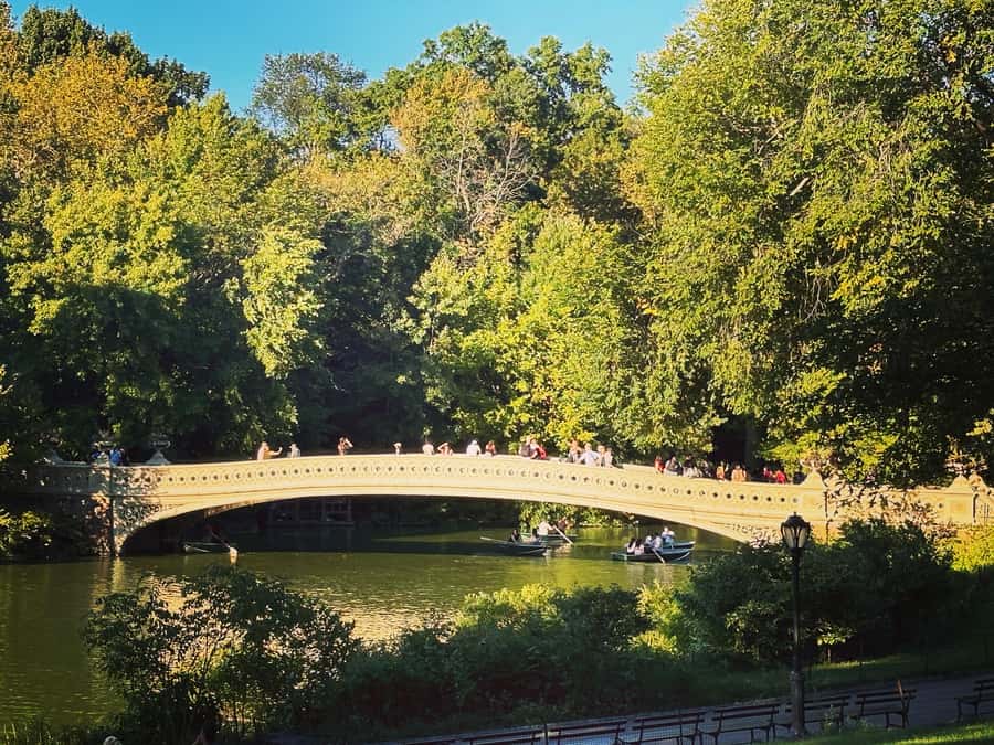 NYC: Guided Pedicab Tour of Central Park - Cherry Hill and Strawberry Fields: two stops that reward you for being present