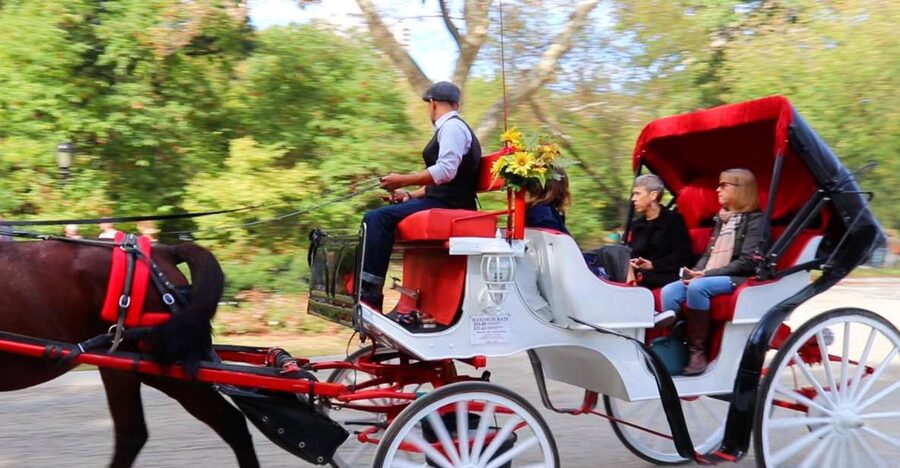 NYC: Guided Standard Central Park Carriage Ride (4 Adults) - Central Park in 40 Minutes, Without the Constant Mapping