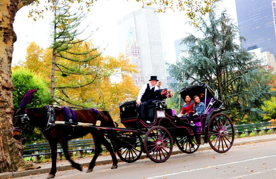 NYC: Guided Standard Central Park Carriage Ride (4 Adults) - Strawberry Fields and Sheep Meadow: When the Park Feels Like a Place