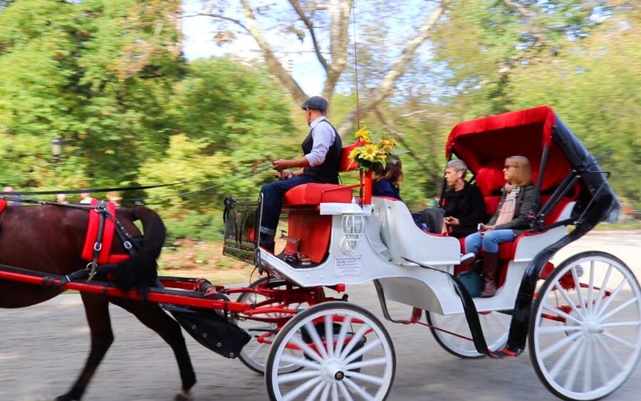 NYC: Guided Standard Central Park Carriage Ride (4 Adults) - Where to Meet: José Julián Martí Statue at 6th Avenue and 59th