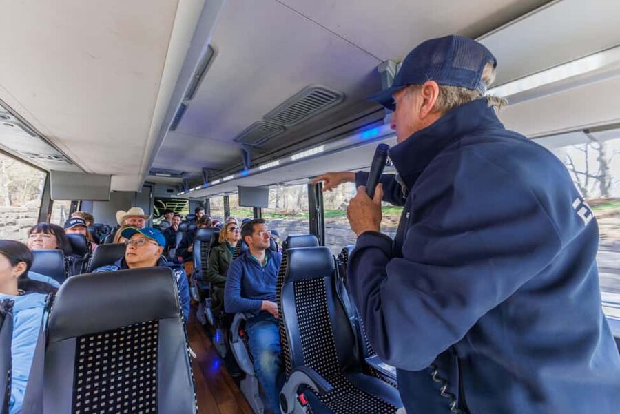 NYC: Half-Day Luxury Bus Tour with Empire State Access - A half-day plan that still feels like Manhattan
