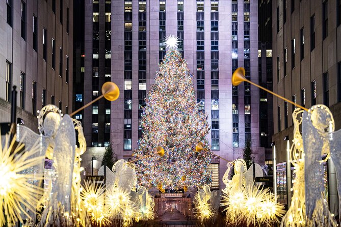 NYC Holiday Lights and Dyker Heights Luxury Bus Tour - Key highlights worth knowing before you go