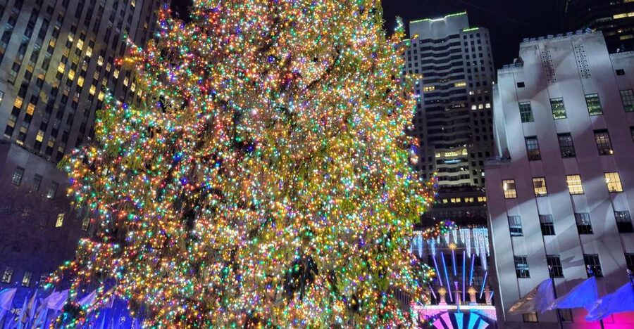 NYC: Holiday Lights Guided Bus Tour - Wall Street Christmas Tree: Stock Exchange, Federal Hall, and a classic NYC photo
