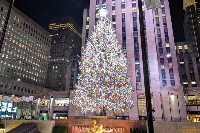 NYC Holiday Lights Tour - Key Highlights Worth Your Time
