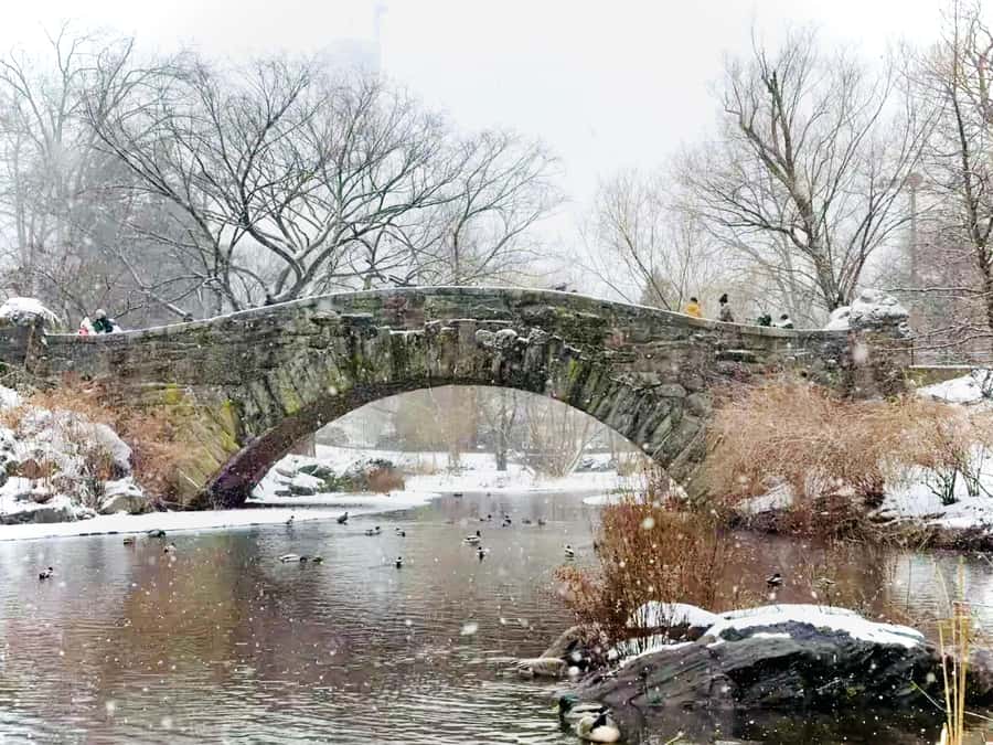 NYC: Home Alone 2 & Elf Locations Tour in Central Park Tour - Best Fit: Families, Movie Fans, and People Who Want a Short Central Park Win