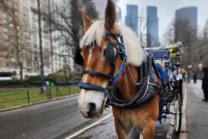 NYC Horse and Carriage Central Park Tours - Quick hits before you climb aboard
