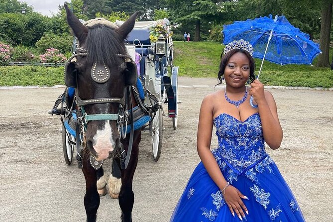 NYC Horse and Carriage Central Park Tours - Why this Central Park horse and carriage tour works better than a long walk