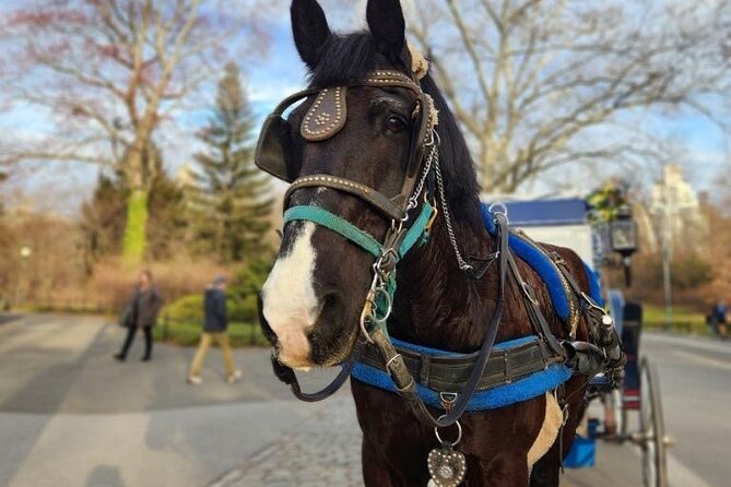 NYC Horse and Carriage Central Park Tours - Carousel, Wollman Rink, and the classic Central Park fun-zone energy