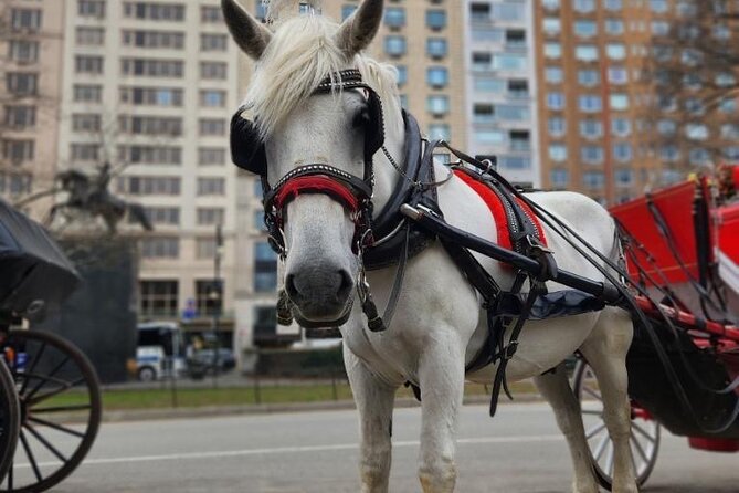 NYC Horse and Carriage Central Park Tours - Bethesda Fountain and Cherry Hill, the kind of stops you actually remember