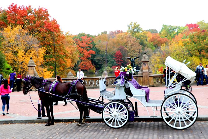 NYC Horse Carriage Ride in Central Park (50 Min. Up to 4 Adults) - Central Park by carriage, in one fast, memorable loop