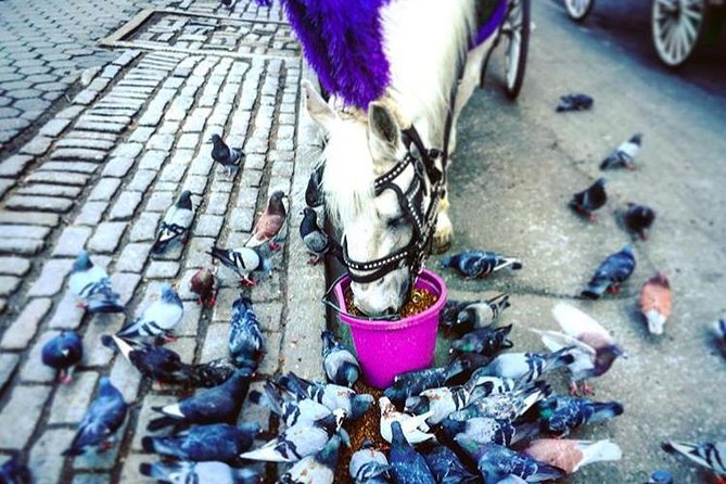 NYC Horse Carriage Ride in Central Park (50 Min. Up to 4 Adults) - Columbus Circle and the skyline edge of the park