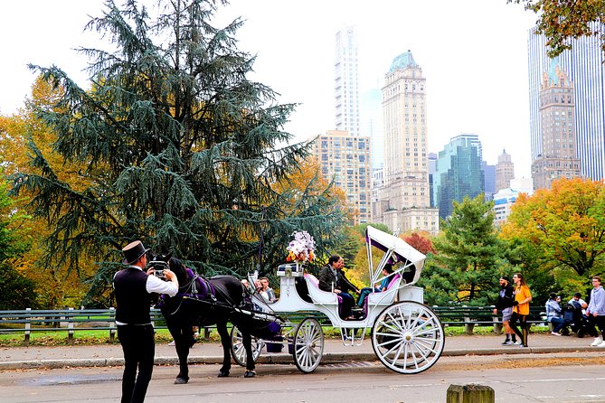 NYC Horse Carriage Ride in Central Park (50 Min. Up to 4 Adults) - Wollman Rink, the carousel, and classic Central Park scenes