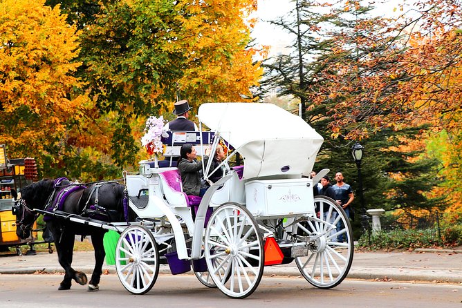 NYC Horse Carriage Ride in Central Park (50 Min. Up to 4 Adults) - Bow Bridge and Gapstow Bridge: two big photo moments