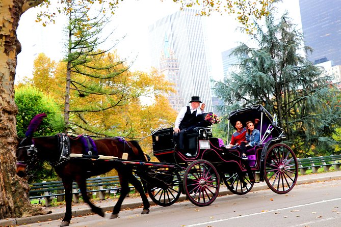 NYC Horse Carriage Ride in Central Park (50 Min. Up to 4 Adults) - Heckscher Playground and Central Park Zoo, family-friendly add-ons