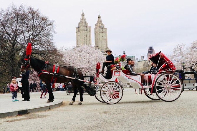 NYC Horse Carriage Ride in Central Park (50 Min. Up to 4 Adults) - Where you meet your guide, and how to start smoothly