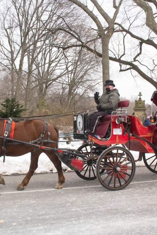 NYC Horse Carriage Ride in Central Park (65 min) - Wollman Rink and the quick first look at the park